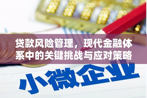 北林贷款风险管理，现代金融体系中的关键挑战与应对策略