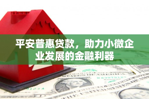 北林平安普惠贷款，助力小微企业发展的金融利器