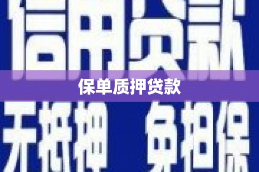 北林保单质押贷款