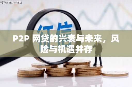 北林P2P 网贷的兴衰与未来，风险与机遇并存
