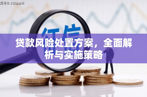 北林贷款风险处置方案，全面解析与实施策略