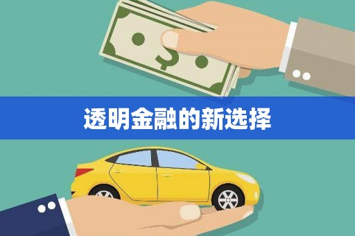 北林透明金融的新选择